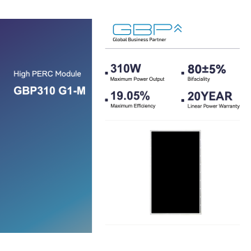Global Business Partner GBP310 G1-M, schwarz